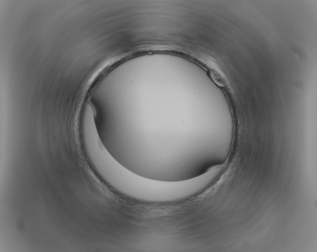X0000113881181200910221349