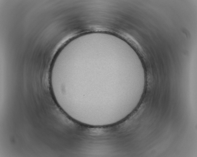 X0000113881182200910221349