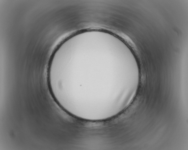 X0000113881183200910221349
