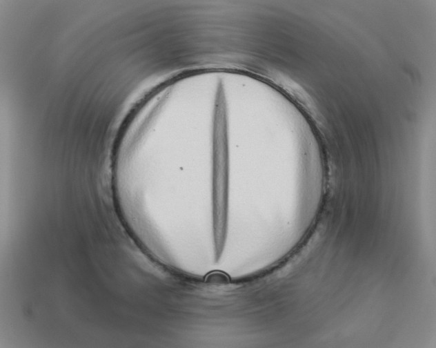 X0000113881184200910221349
