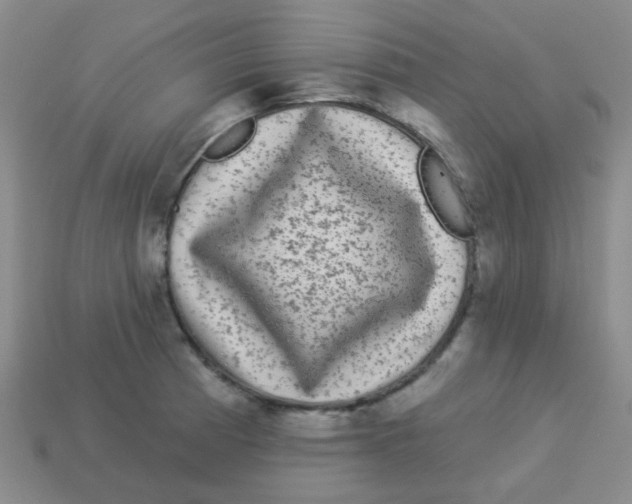 X0000113881185200910221349