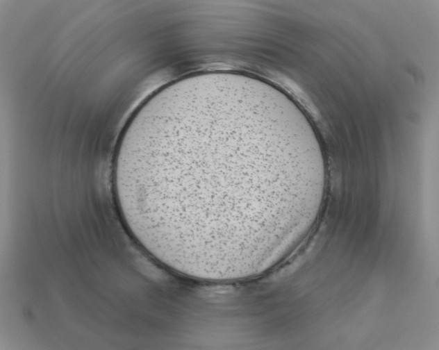 X0000113881186200910221349