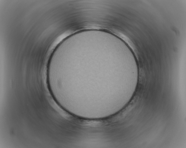X0000113881187200910221349