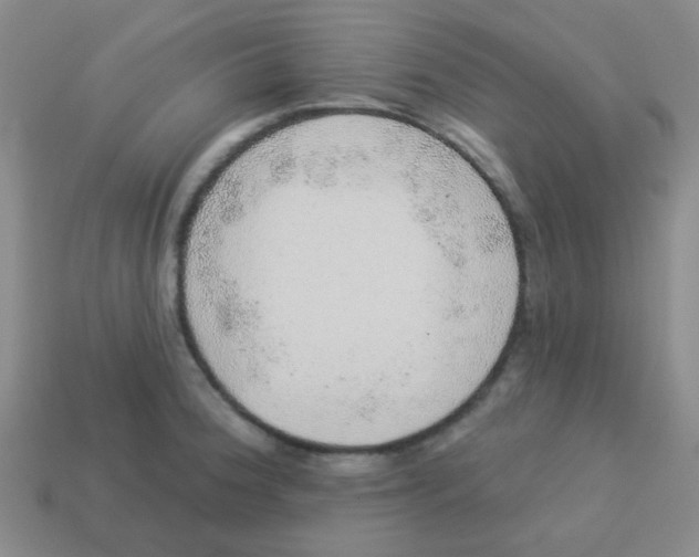 X0000113881188200910221349