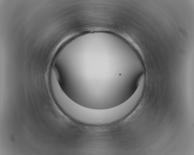 X0000113881189200910221349