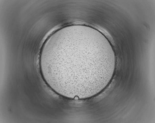 X0000113881190200910221349
