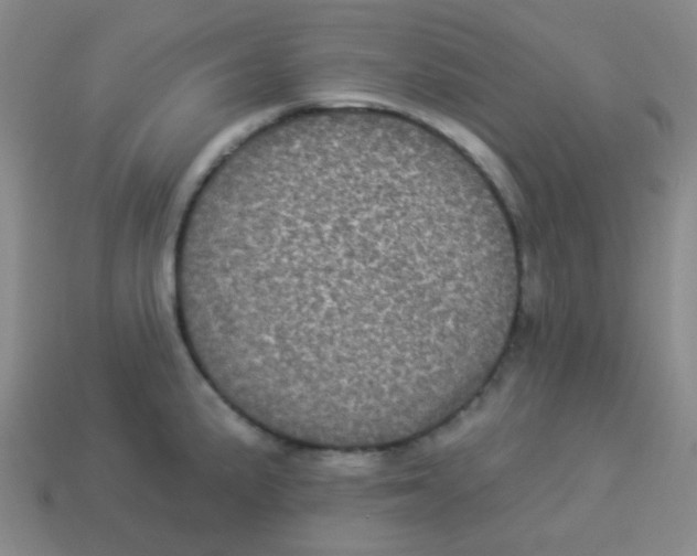 X0000113881191200910221349