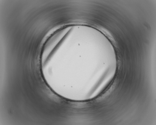 X0000113881192200910221349