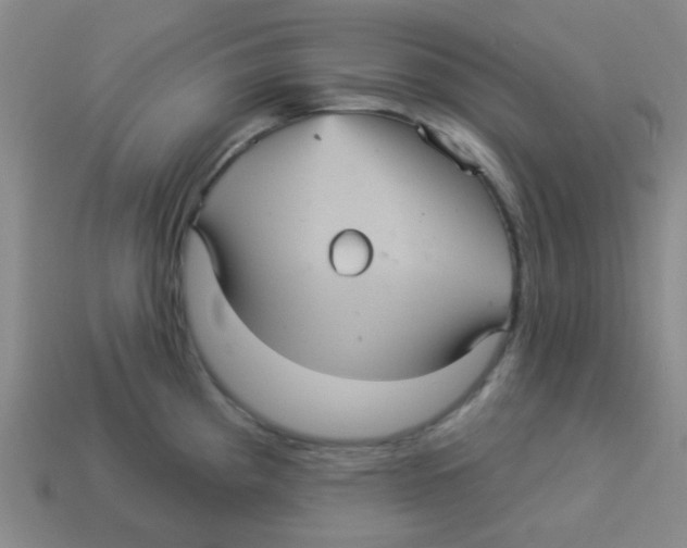 X0000113881193200910221349