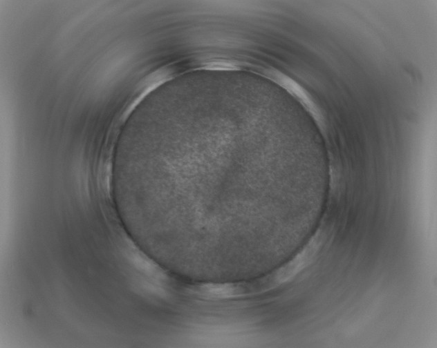 X0000113881194200910221349