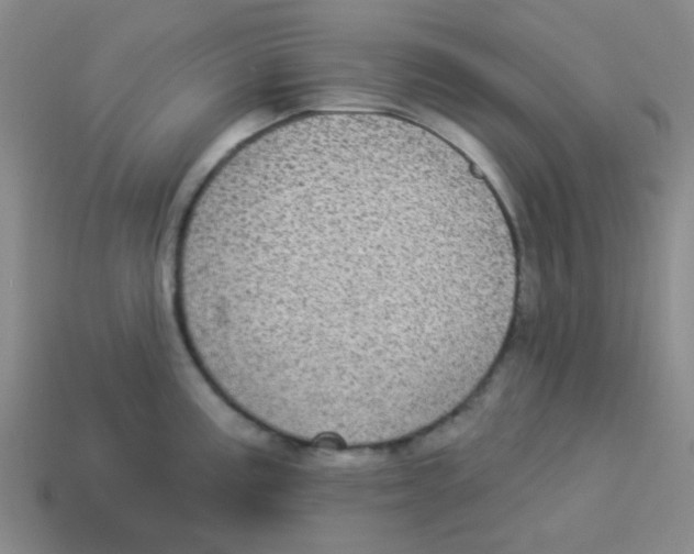 X0000113881195200910221349