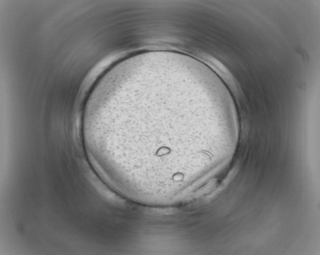 X0000113881196200910221349