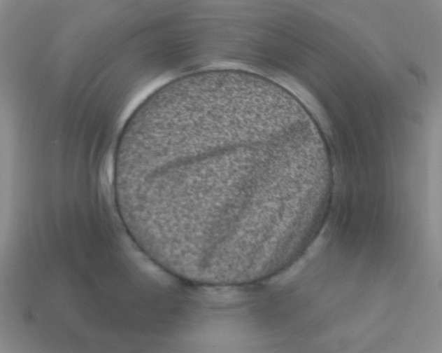 X0000113881198200910221349