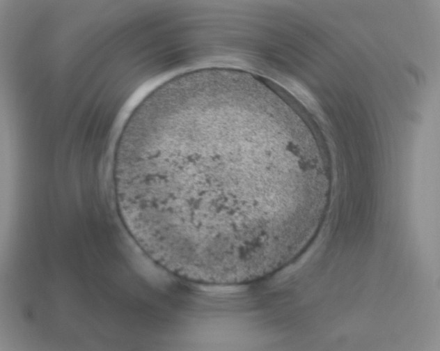 X0000113881200200910221349