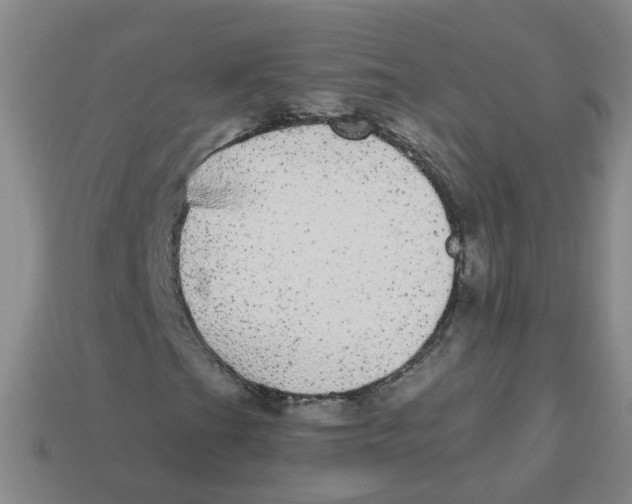 X0000113881201200910221349