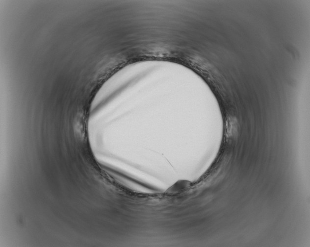 X0000113881202200910221349