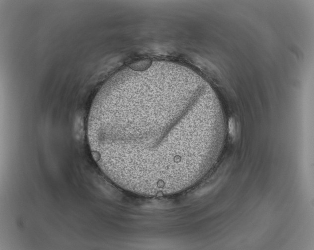 X0000113881203200910221349
