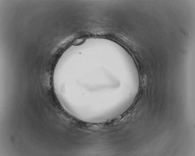 X0000113881205200910221349
