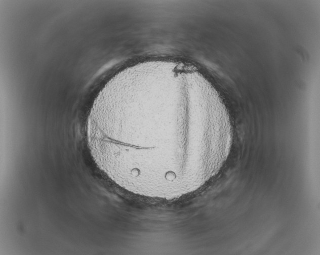 X0000113881206200910221349