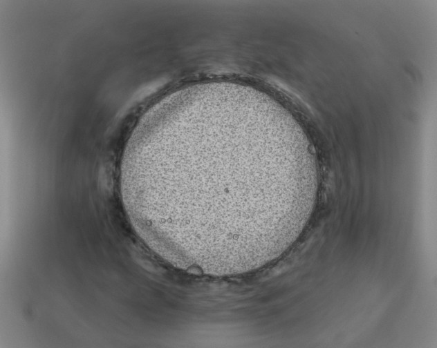 X0000113881207200910221349