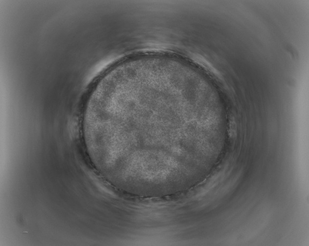 X0000113881208200910221349