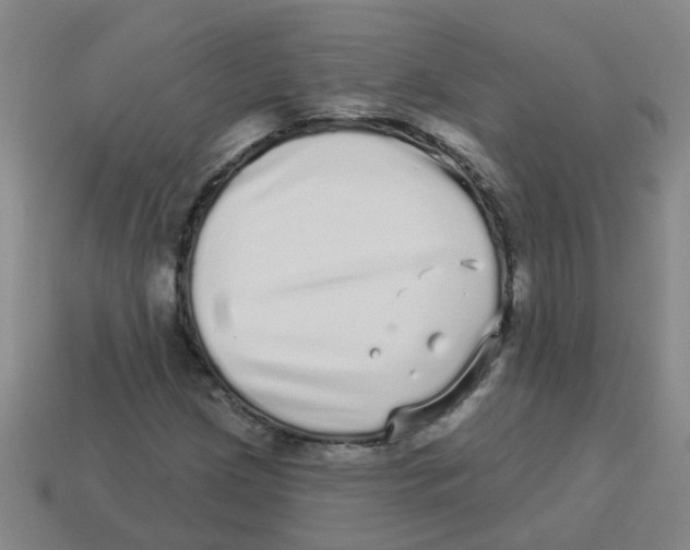 X0000113881209200910221349