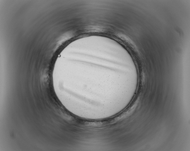 X0000113881210200910221349