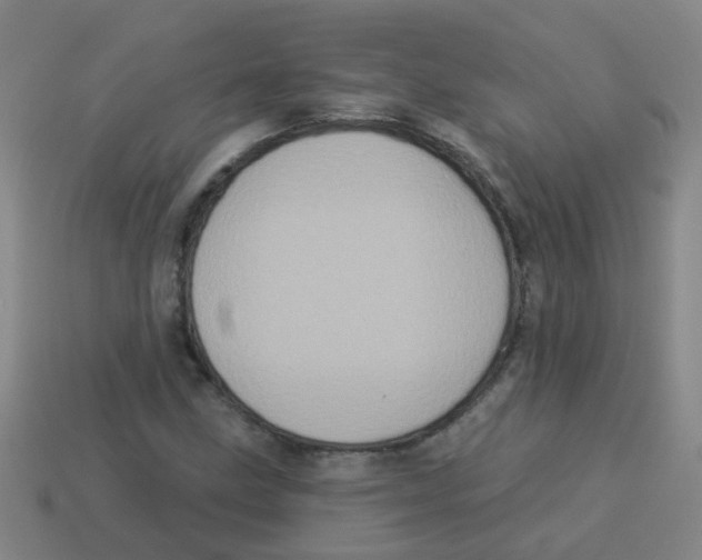 X0000113881211200910221349