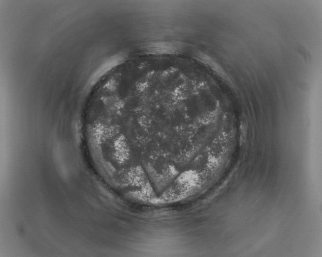 X0000113881213200910221349