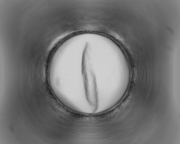 X0000113881214200910221349