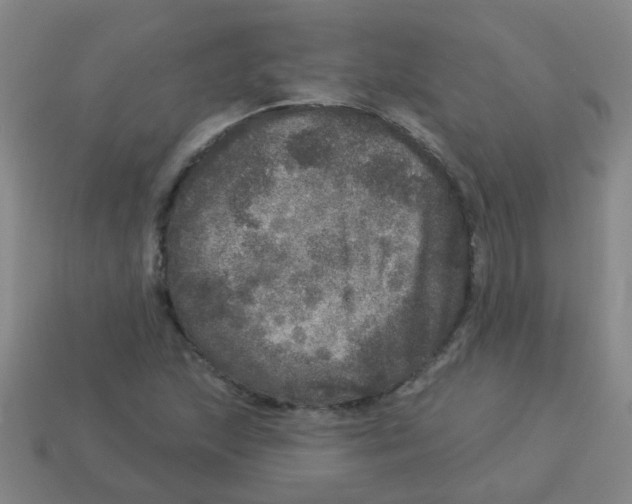 X0000113881215200910221349