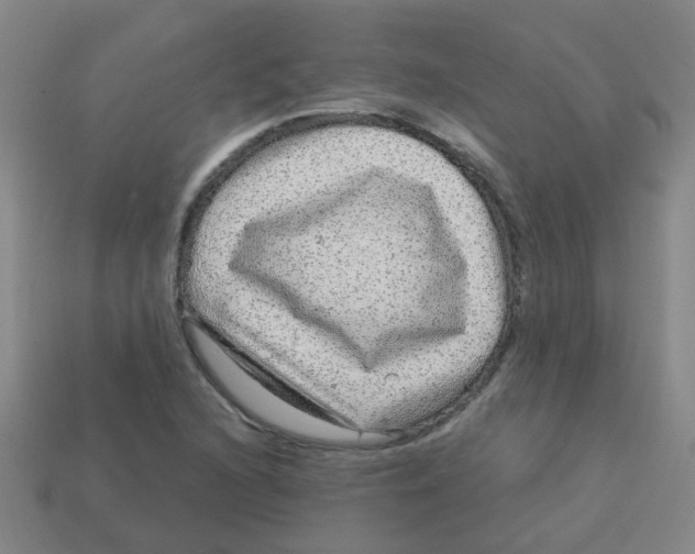 X0000113881216200910221349