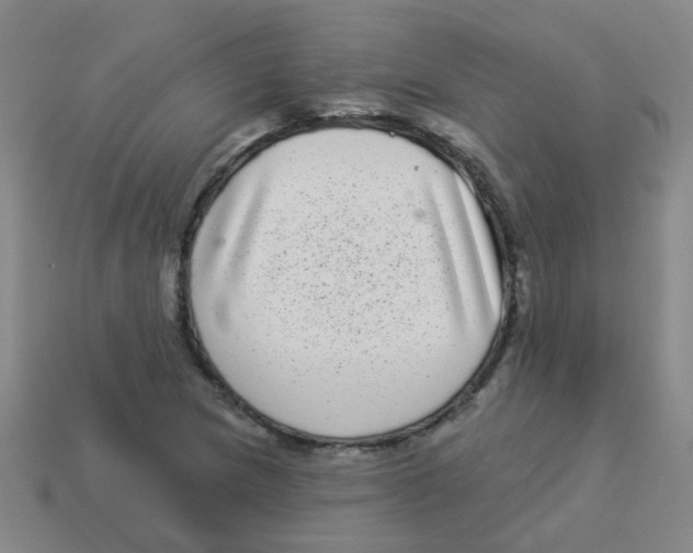 X0000113881217200910221349