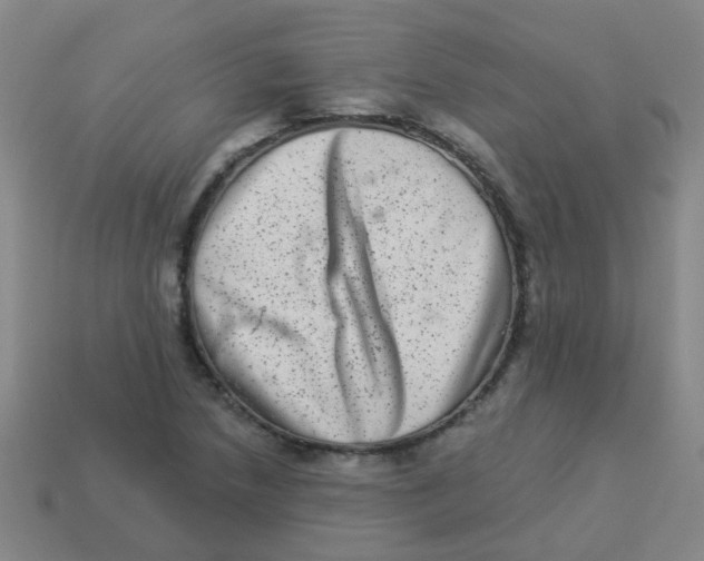 X0000113881218200910221349