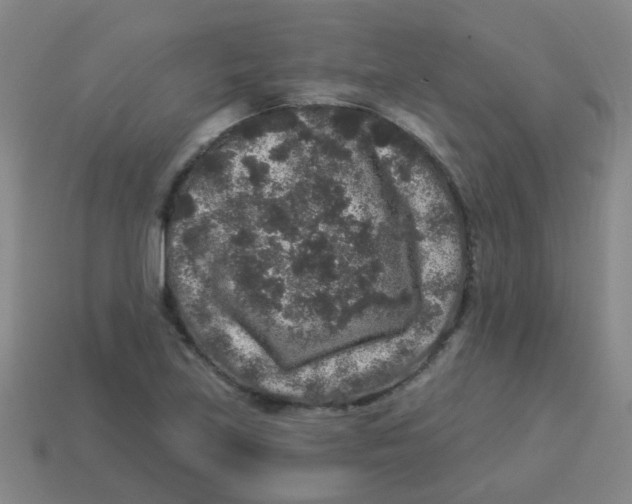 X0000113881219200910221349