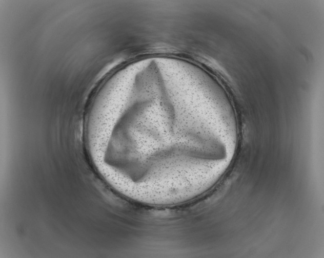 X0000113881220200910221349