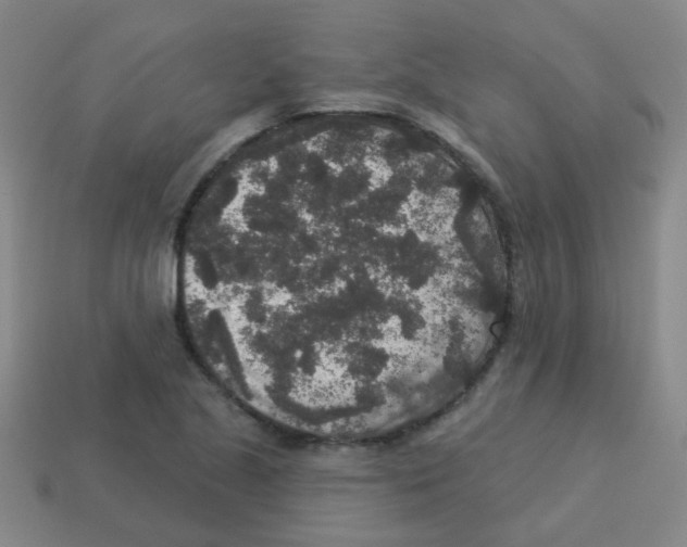 X0000113881221200910221349