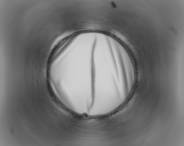 X0000113881222200910221349
