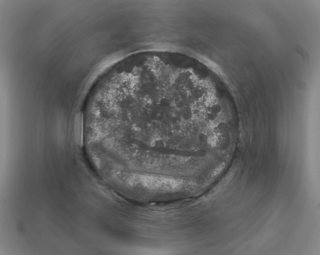 X0000113881223200910221349