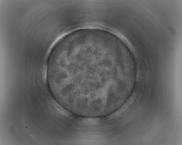 X0000113881224200910221349