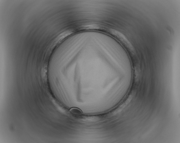 X0000113881225200910221349