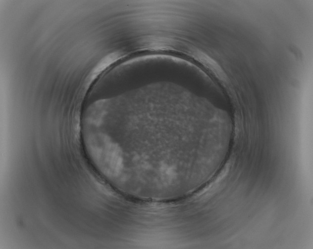 X0000113881226200910221349