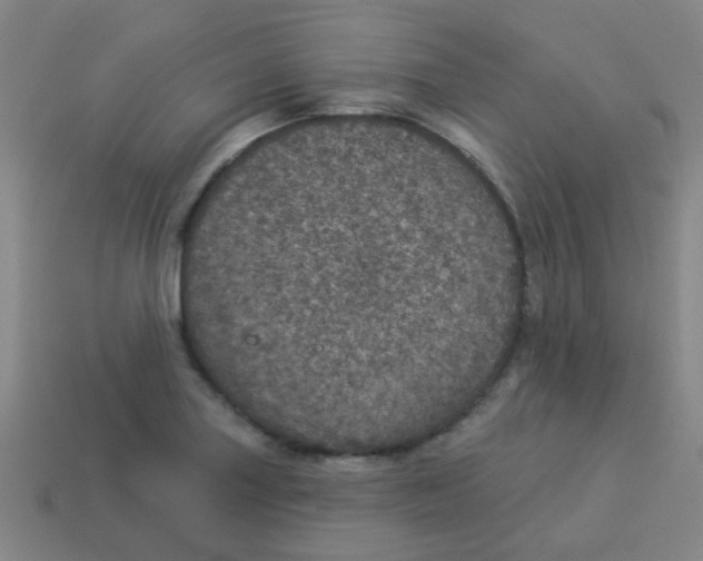 X0000113881227200910221349