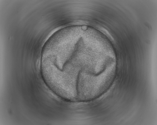 X0000113881228200910221349