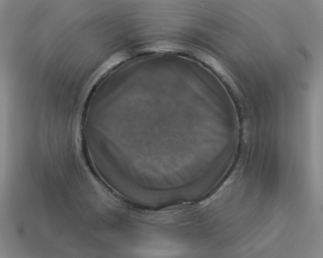 X0000113881229200910221349