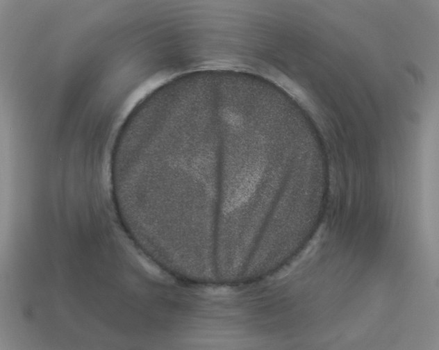 X0000113881230200910221349