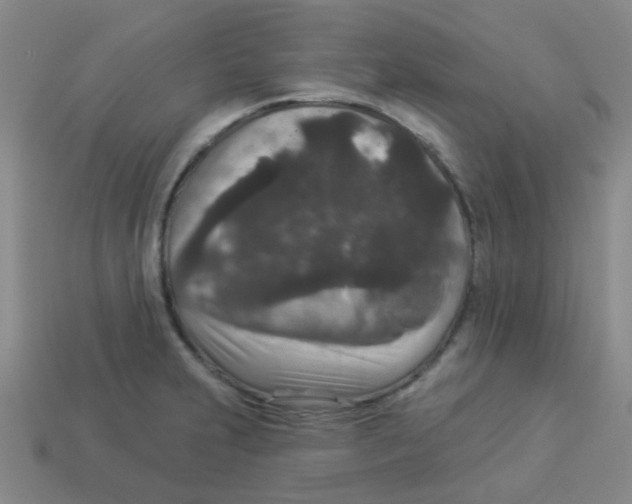 X0000113881231200910221349
