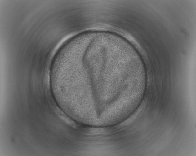 X0000113881232200910221349