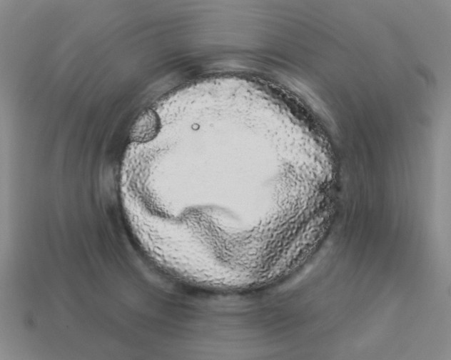 X0000113881233200910221349