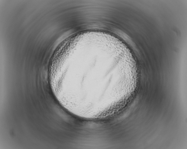 X0000113881234200910221349